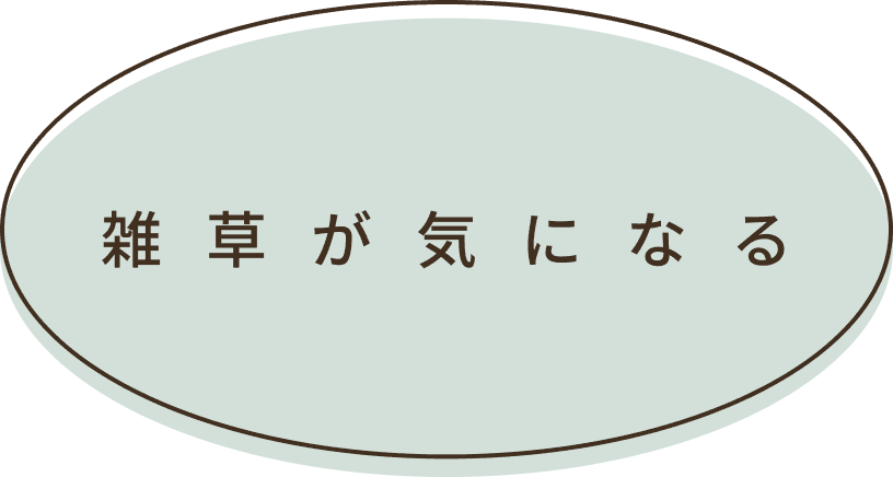 雑草が気になる